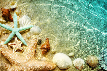 Starfish and seashell on the summer beach in sea water. Summer background. Summer time. - 601849198