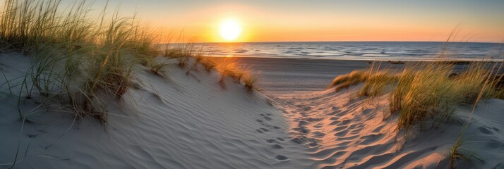 Path on the sand going to the ocean in the Beach  at sunrise or sunset, beautiful nature landscape. Generative AI