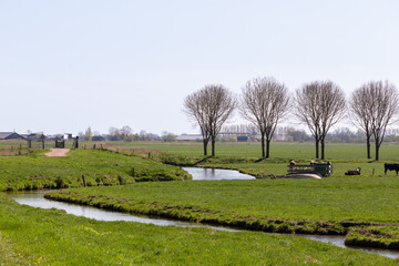 Fototapeta na wymiar Dutch polder landscape near the village of Eemnes.