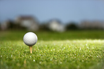 Golf ball and tee on golf course.