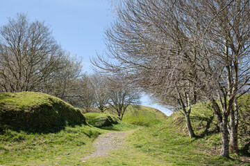 Field with green grass, trees and small hills with blue sky