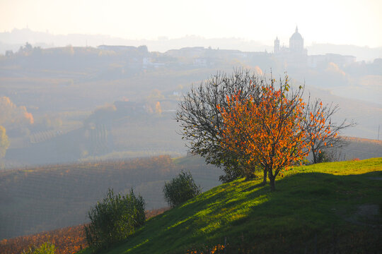 Cityscape in the mist across rural landscape, Mombaruzzo, Asti, Piedmont, Italy