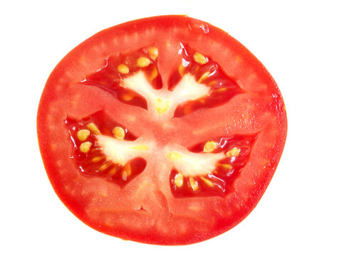 Slice of tomato, fresh isolated on white