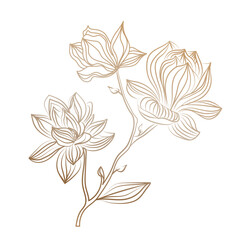 Golden decorative branch with magnolia flowers in linear style. Wedding bud, hand drawn, elegant leaves for invitation. Drawing and sketch with line art on a white background.