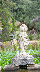 Valley of Love Petr&oacute;polis Buda Religion Meditation Flowers