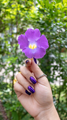 Hand Holding Flower Urca Brasil Rio de Janeiro