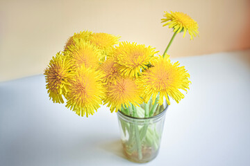 Glass cup with yellow dandelion flowers standing on a white window sill on beige background
