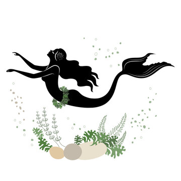 Mermaid silhouette. A beautiful girl swims in the water. Next to the leaves of the plant. Fantastic image of a fairy tale. Vector illustration