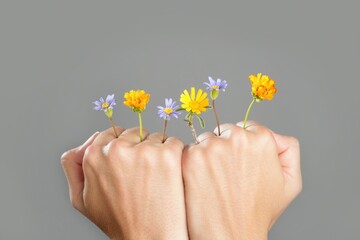 Concept of life with plant growing from woman hands