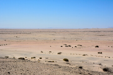 Desert landscape to the horizon of sand and small rumslin. Drought and dehydration.
