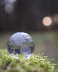 glass earth globe in forest
