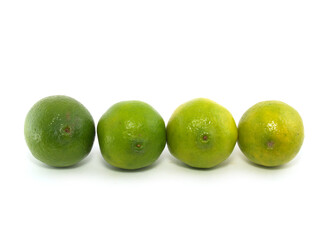 Four green limes lying in one line