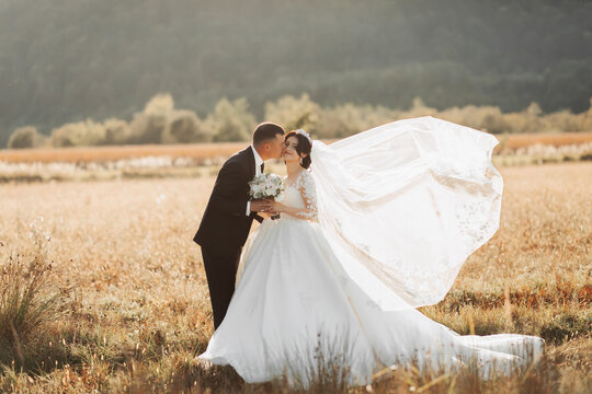 Wedding photo. A groom in a black suit and a bride in a white dress and veil blown by the wind stand kissing in a field against a background of trees and large mountains. Photo in a light key. 