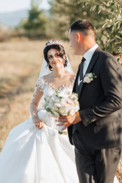 A wide-angle portrait of a bride and groom walking across a field against the backdrop of mountains. A gorgeous crown. A wonderful dress. Stylish groom. Wedding photo in nature