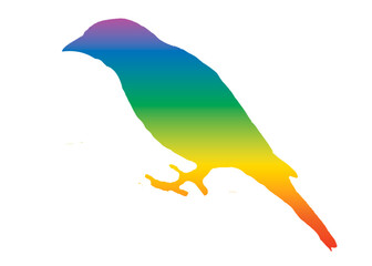 Rainbow Gradient Tanager Bird Silhouette