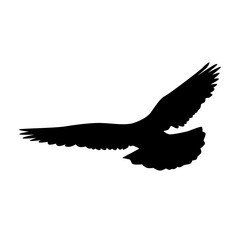 Naklejka premium Pigeons silhouette isolated