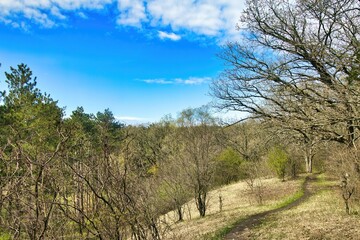 Spring landscape view of the Ice Age Trail passing through a hilly forest under a mostly blue sky near Palmyra, WI.