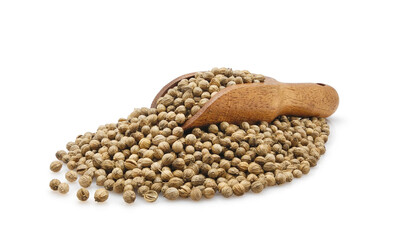 Pile of whole coriander or cilantro seeds with wooden scoop close-up isolated on white background   