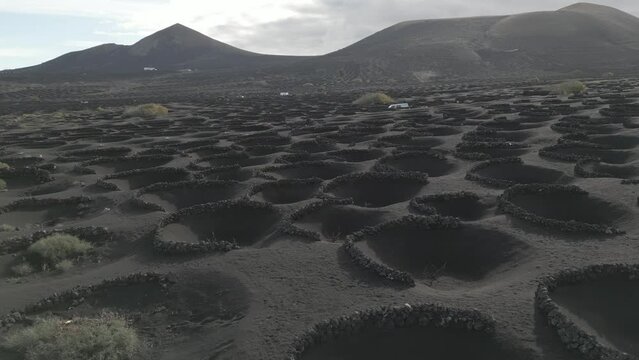 Aerial shot of vineyards at La Geria, Timanfaya National Park, Las Palmas, Lanzarote