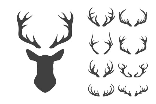 Vector Christmas Reindeer Horns, Antlers. Deer Horn Silhouettes. Hand Drawn Deers Horn, Antler Set. Animal Antler Collection. Design Elements of Deer. Wildlife Hunters, Hipster, Christmas Concept