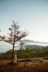Fototapeta premium tree in the mountains