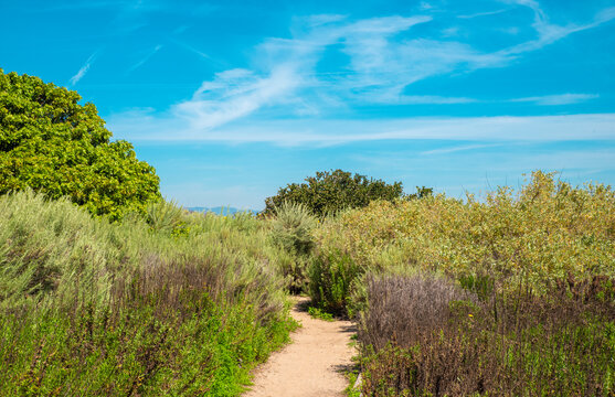 A nature trail in the Ballona Wetlands of Los Angeles California