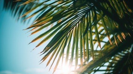 Photo of sun rays passing through the lush green palm tree leaves, beach summer concept, background - obrazy, fototapety, plakaty