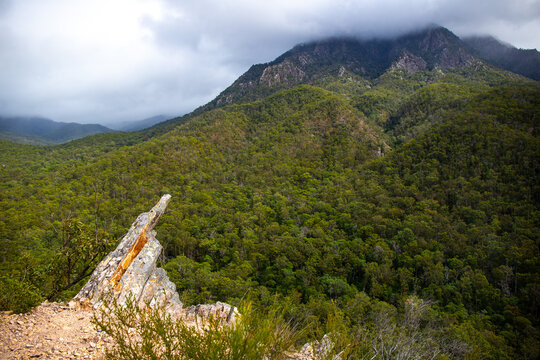 Panorama Of Mount Barney National Park, Scenic Mountains In South East Queensland Near Gold Coast And Brisbane, Australia