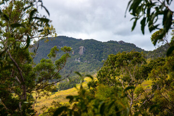 panorama of mount barney national park, scenic mountains in south east queensland near gold coast...