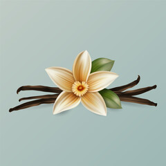 Vector 3d Realistic Sweet Scented Fresh Vanilla Flower with Leaves Closeup Isolated on Blue Background. Design Template for Distinctive Flavoring, Culinary Concept. Front View