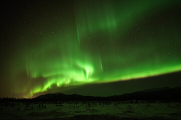 A Kaleidoscope of Aurora: Vibrant Night Sky over Snowy Whitehorse
