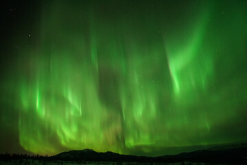 Aurora's Embrace: The Vibrant Ballet of Lights in Whitehorse's Crystal-Clear February Sky