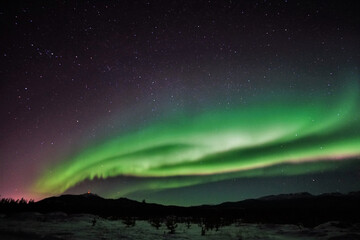 Whitehorse's Cosmic Dance: Spiraling Auroras Ignite the March Sky