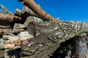 a pile of sawn wood after deforestation, harvesting of wood
