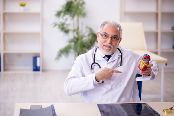 Old male doctor cardiologist working in the clinic