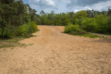 Near the village Beek you find an very old forrest and a sand excavation.