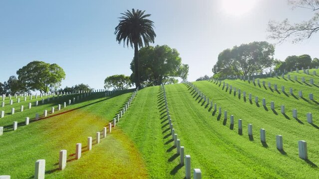 Scenic dolly shot above green field with straight rows white grave plates on summer day. National cemetery where buried all members armed forces. Aerial Los Angeles National Cemetery California USA