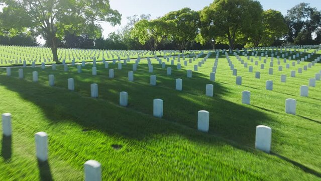 National cemetery where buried all members armed forces. Aerial Los Angeles National Cemetery California USA. Drone flying above scenic green field with straight rows white grave plates on summer day