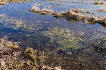 puddles on an agricultural field after rains and snowmelt