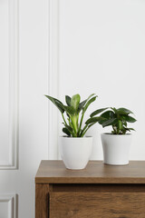 Beautiful different houseplants in pots on wooden table near white wall, space for text