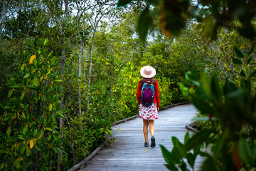 beautiful girl wearing skirt and hat walking on the boardwalk among mangroves in sunshine coast region, queensland, australia; Maroochy Wetland Sanctuary