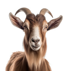 Goat Face Shot Isolated on Transparent Background - Generative AI
