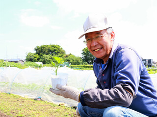 家庭菜園　シニア男性