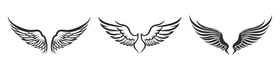 Set of wings icons. Wings badges. Collection wings badges. Vector illustration