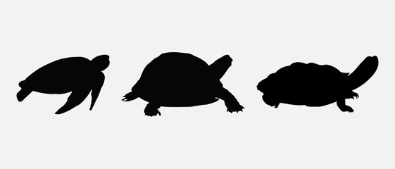 isolated black silhouette of a turtle , vector collection