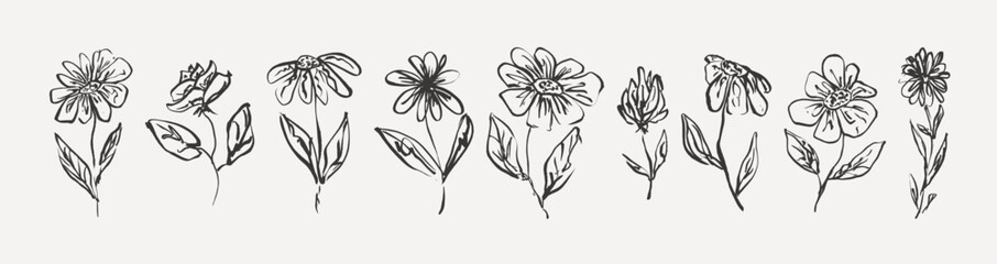 Set of delicate sketch textured black flowers. Elegant outline floral elements collection for women poster and greeting card design, banner, logo, sticker