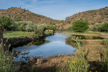 Vegetation and water of the river beach of Azenhas do Guadiana in the valley, Mértola - Alentejo PORTUGAL