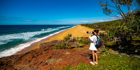 wildlife photographer takes photo of wild animals at rural australian beach in queensland;...
