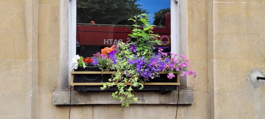Fototapeta na wymiar Flores en la ventana.