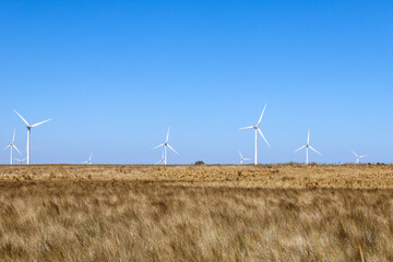 wind turbine in an australian field